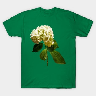 Hydrangeas - Single White Hydrangea T-Shirt